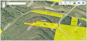 P.F. vand teren intravilan - imagine 4