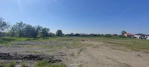 Teren Intravilan Primăverii -Săcălaz de vânzare  - imagine 3