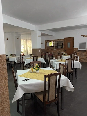 Vând Vilă 3 stele  - imagine 4