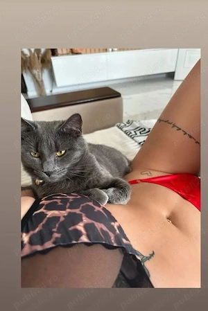 Brunetă rafinată, 24 anii incall outcall  - imagine 2