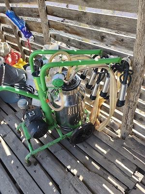 aparat de muls vaci  - imagine 5