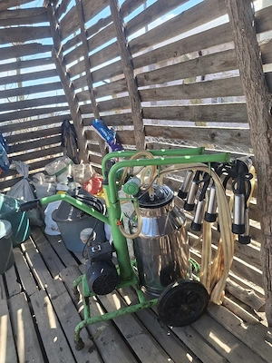 Aparat de muls vaci - imagine 4