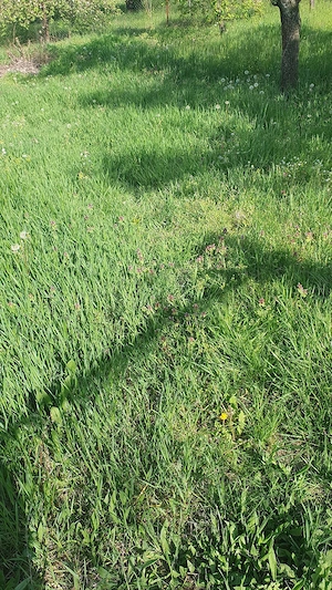 teren constructie cabana 