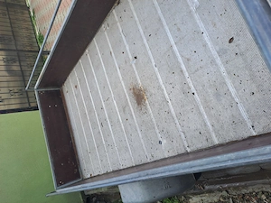 Remorca de vanzare . Recent adusa din germania 