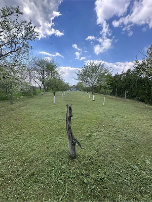 Casa de vanzare , Calinesti Prahova  - imagine 3