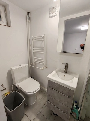 Garsoniera Copou-Cuza - imagine 3