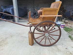 Sareta de vanzare  - imagine 2