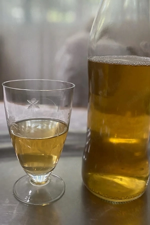 Vin natural (netratat) din struguri nohan