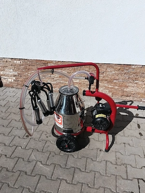 vind mulgătoare in stare foarte buna  - imagine 2