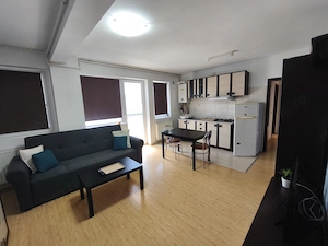 Dumbravita 2 camere 350 euro - imagine 3