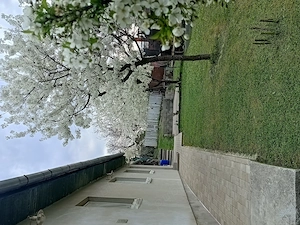 Casa de vânzare în Reghin - imagine 3