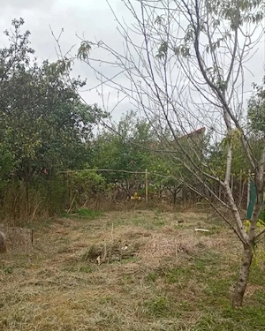 Vând casă individuală Timișoara-Ronaț fara schimb - imagine 10