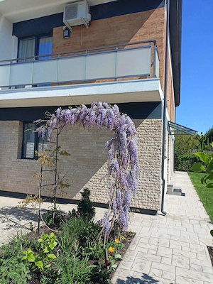 Vand casa in Dumbravita.