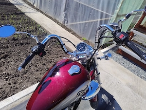 Vand Yamaha Virago - imagine 5