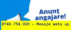 Debarasator - Hotel Alexandra**** Mamaia