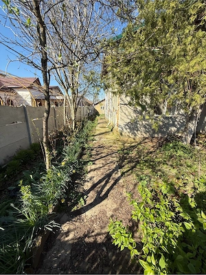 Casa de vanzare schimb Corabia , langa Dunare - imagine 2