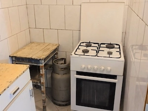 Giurgiului, CFR Progresul, 30 minute de Piata Unirii cu STB 7 sau 116, in vila - imagine 10