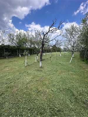 Casa de vanzare , Calinesti Prahova  - imagine 4