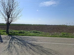 Inchiriez teren 5,2 Ha pe E85 Bucuresti Buzau la Km 75, cu dubla deschidere - imagine 5