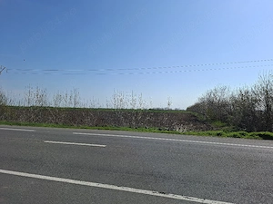 Inchiriez teren 5,2 Ha pe E85 Bucuresti Buzau la Km 75, cu dubla deschidere - imagine 4