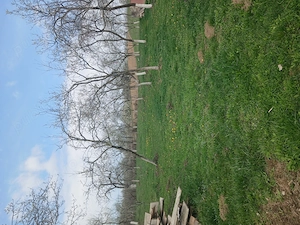 Casa de vanzare constructie noua  - imagine 5