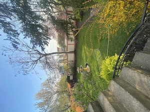 Teren București sec.1