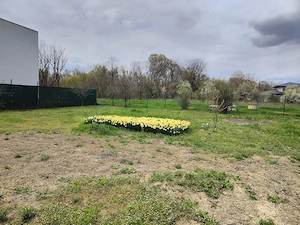 626 mp, rau, padure, utilitati - imagine 5