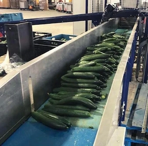 Se caută  4  cupluri serioase la sortat