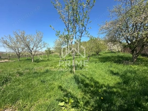 Casa Individuală 120 mp, 4 camere| teren 2.327 mp| zona Bucerdea Granoasa  - imagine 13
