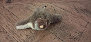 Jucarie interactiva pentru pisici (Pasare)