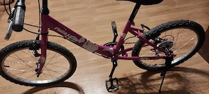 Bicicleta 5-9 ani, roti 20 Neuzer Cindy - imagine 3