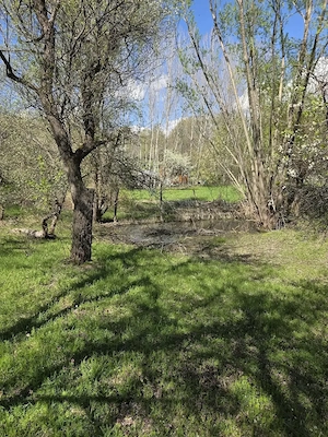  Teren de vanzare in Runcu, sat. Valea Babei, str. Campului nr 12 - jud. Valcea 5100 mp - imagine 7