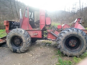 Vând taf forestier  - imagine 2