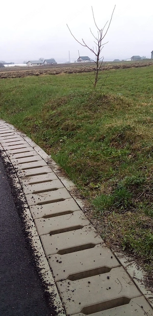 Vând teren intravilan in oraș salcea Plopeni strada paieni Nr 30 A   - imagine 3
