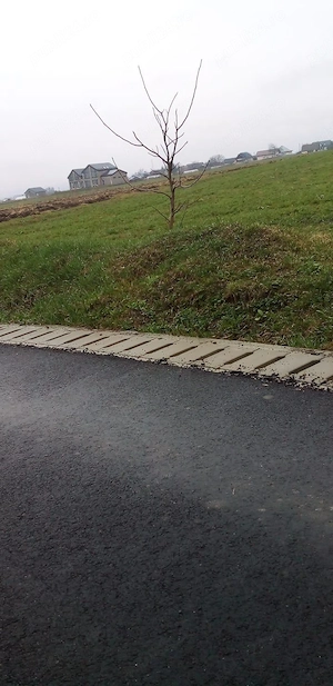 Vând teren intravilan in oraș salcea Plopeni strada paieni Nr 30 A   - imagine 4