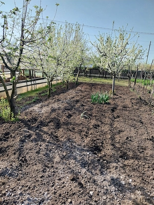 Vând casă ( teren 2.000 mp) în sat Pietrele, jud. Giurgiu