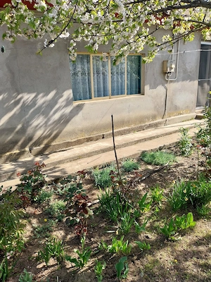 Vând casă ( teren 2.000 mp) în sat Pietrele, jud. Giurgiu - imagine 5