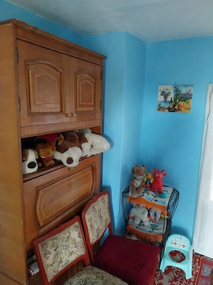 Vând casă ( teren 2.000 mp) în sat Pietrele, jud. Giurgiu - imagine 9