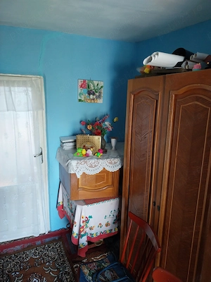 Vând casă ( teren 2.000 mp) în sat Pietrele, jud. Giurgiu - imagine 7