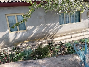 Vând casă ( teren 2.000 mp) în sat Pietrele, jud. Giurgiu - imagine 4