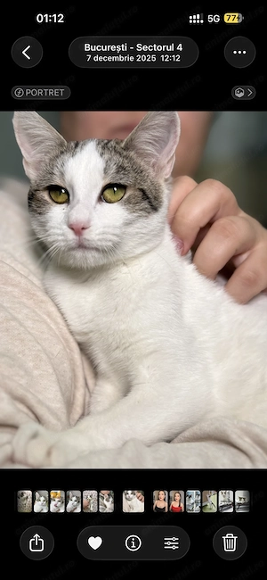 Piscuta foarte iubitoare și torcacioasa 6-7 luni