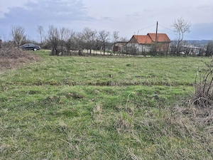 Vand gradina pentru casa sau livadă, 2350m  - imagine 3