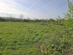 Vand gradina pentru casa sau livadă, 2350m  - imagine 2