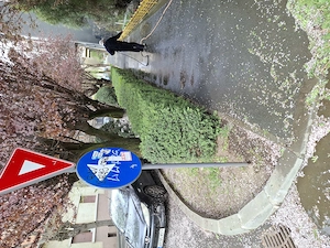 Tuns iarba profesional | Curățare teren | De la 150 lei