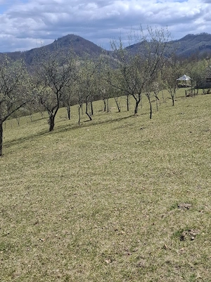 Vand teren in MARAMUREȘ Valea Viseului - imagine 7