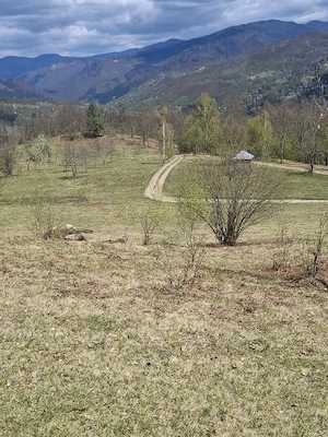 Vand teren in MARAMUREȘ Valea Viseului - imagine 5