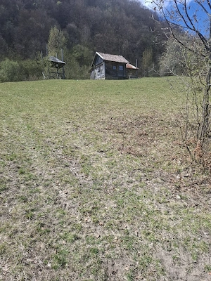 Vand teren in MARAMUREȘ Valea Viseului - imagine 9