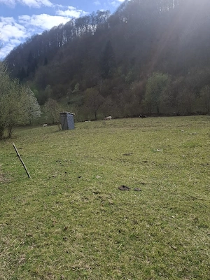 Vand teren in MARAMUREȘ Valea Viseului - imagine 4