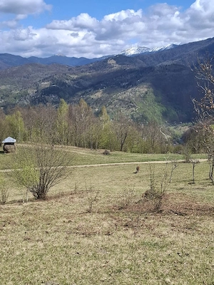 Vand teren in MARAMUREȘ Valea Viseului - imagine 3
