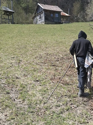 Vand teren in MARAMUREȘ Valea Viseului - imagine 8